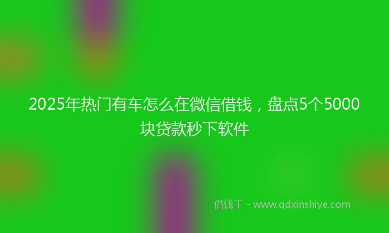 2025年热门有车怎么在微信借钱，盘点5个5000块贷款秒下软件