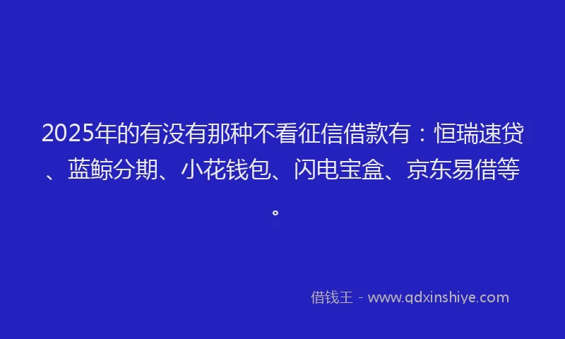 2025年的有没有那种不看征信借款有：恒瑞速贷、蓝鲸分期、小花钱包、闪电宝盒、京东易借等。