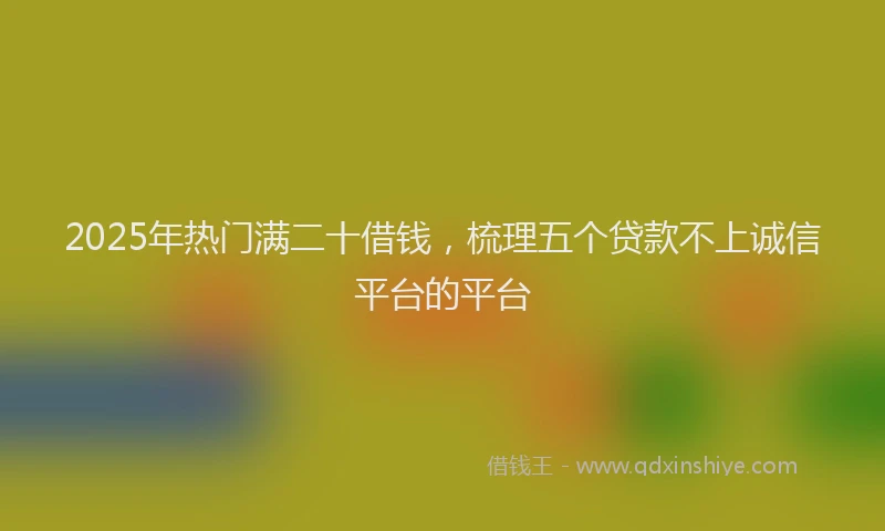 2025年热门满二十借钱，梳理五个贷款不上诚信平台的平台