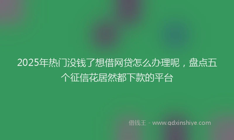 2025年热门没钱了想借网贷怎么办理呢，盘点五个征信花居然都下款的平台