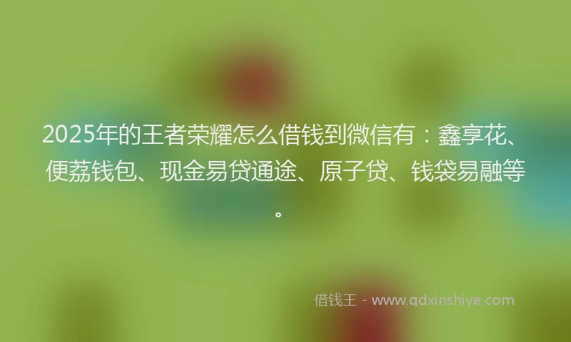 2025年的王者荣耀怎么借钱到微信有：鑫享花、便荔钱包、现金易贷通途、原子贷、钱袋易融等。