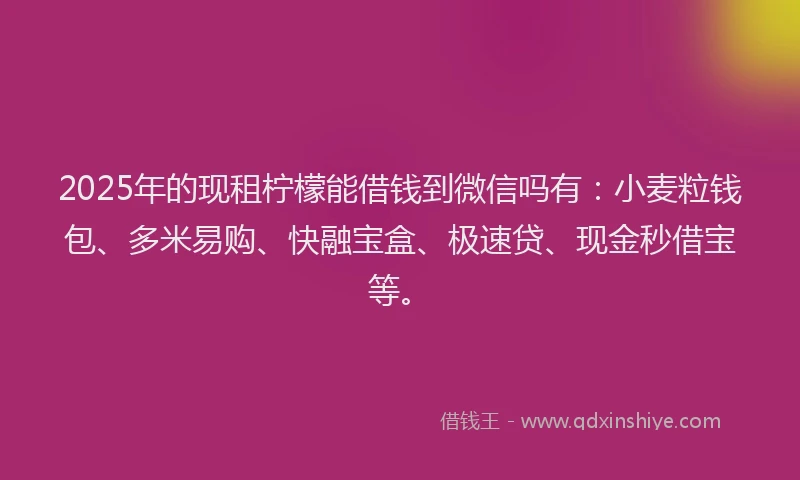 2025年的现租柠檬能借钱到微信吗有：小麦粒钱包、多米易购、快融宝盒、极速贷、现金秒借宝等。