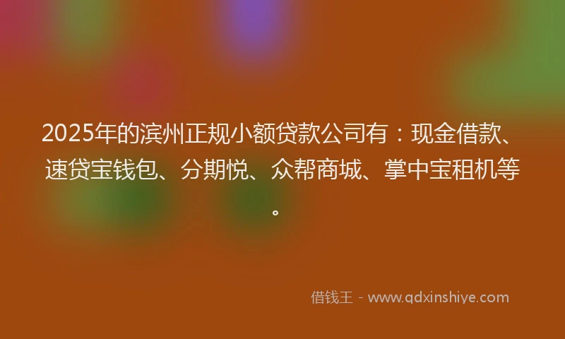 2025年的滨州正规小额贷款公司有：现金借款、速贷宝钱包、分期悦、众帮商城、掌中宝租机等。