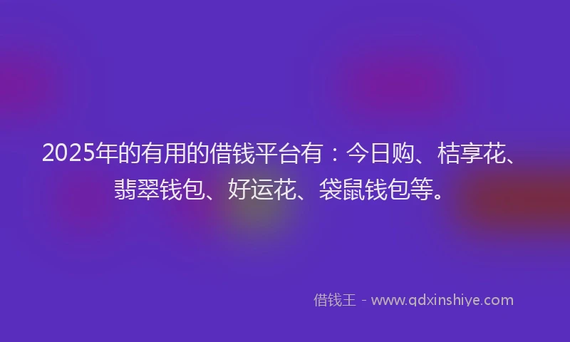 2025年的有用的借钱平台有：今日购、桔享花、翡翠钱包、好运花、袋鼠钱包等。