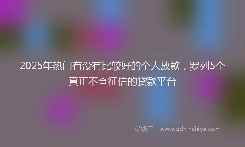 2025年热门有没有比较好的个人放款，罗列5个真正不查征信的贷款平台