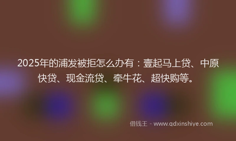 2025年的浦发被拒怎么办有：壹起马上贷、中原快贷、现金流贷、牵牛花、超快购等。