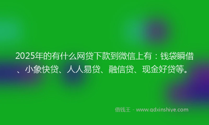 2025年的有什么网贷下款到微信上有：钱袋瞬借、小象快贷、人人易贷、融信贷、现金好贷等。