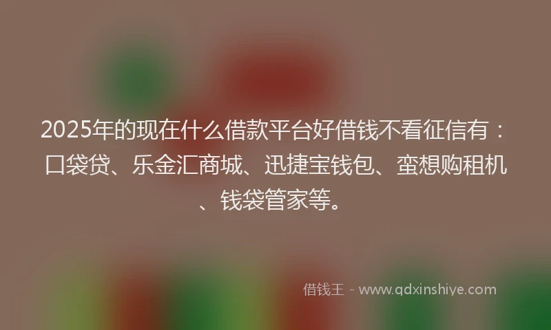 2025年的现在什么借款平台好借钱不看征信有：口袋贷、乐金汇商城、迅捷宝钱包、蛮想购租机、钱袋管家等。