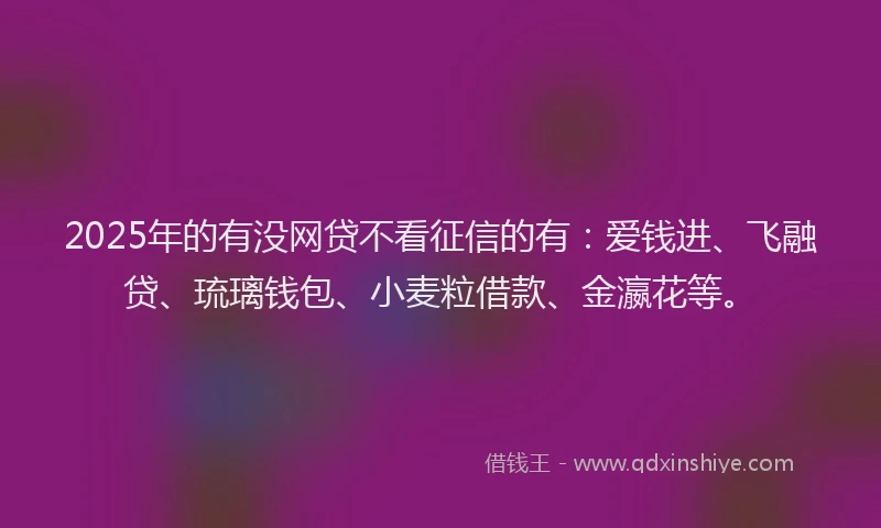 2025年的有没网贷不看征信的有：爱钱进、飞融贷、琉璃钱包、小麦粒借款、金瀛花等。