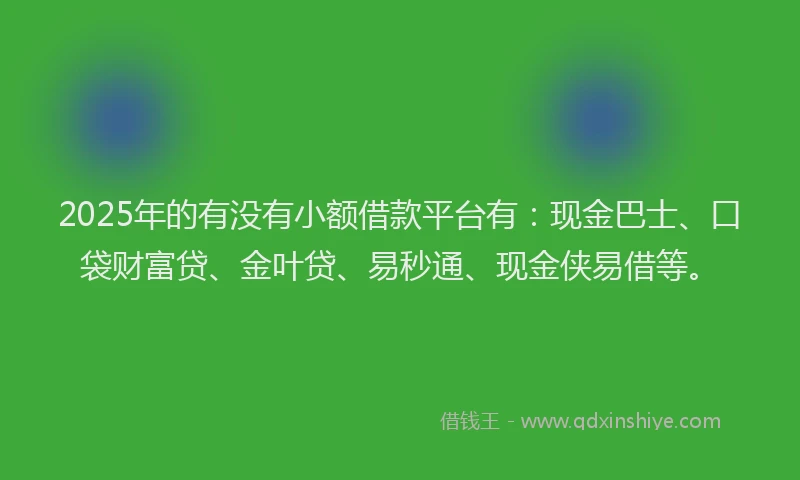2025年的有没有小额借款平台有：现金巴士、口袋财富贷、金叶贷、易秒通、现金侠易借等。