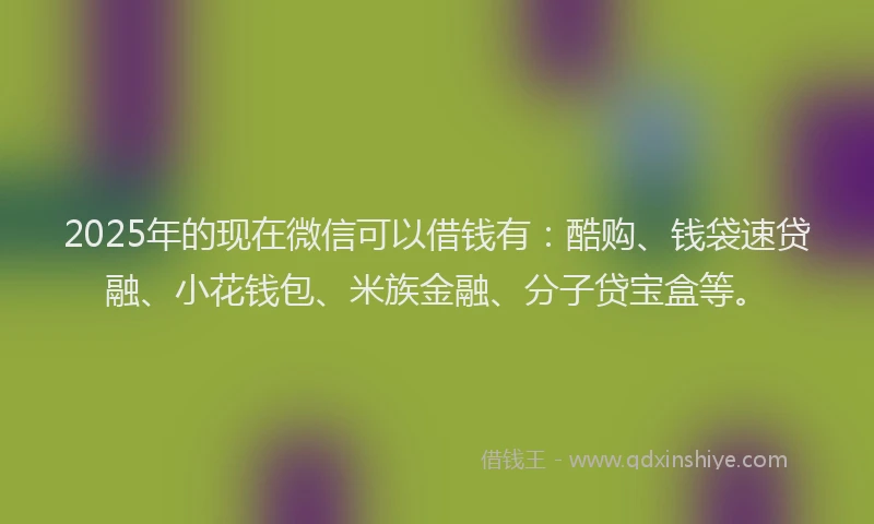 2025年的现在微信可以借钱有：酷购、钱袋速贷融、小花钱包、米族金融、分子贷宝盒等。