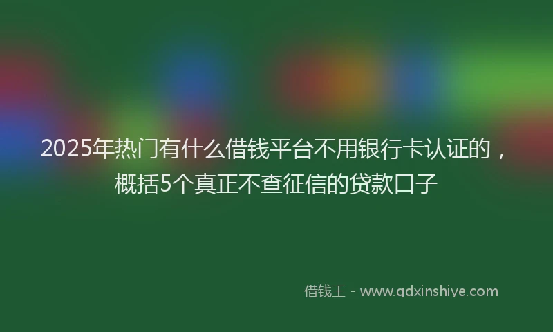 2025年热门有什么借钱平台不用银行卡认证的，概括5个真正不查征信的贷款口子