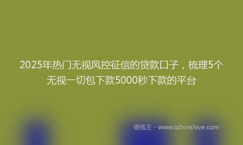 2025年热门无视风控征信的贷款口子，梳理5个无视一切包下款5000秒下款的平台
