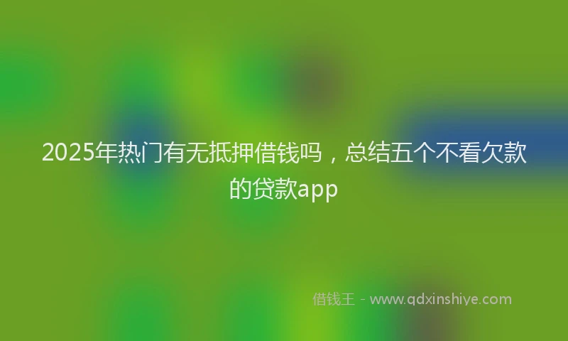 2025年热门有无抵押借钱吗，总结五个不看欠款的贷款app