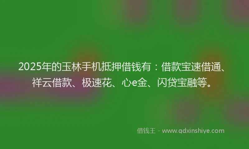 2025年的玉林手机抵押借钱有：借款宝速借通、祥云借款、极速花、心e金、闪贷宝融等。