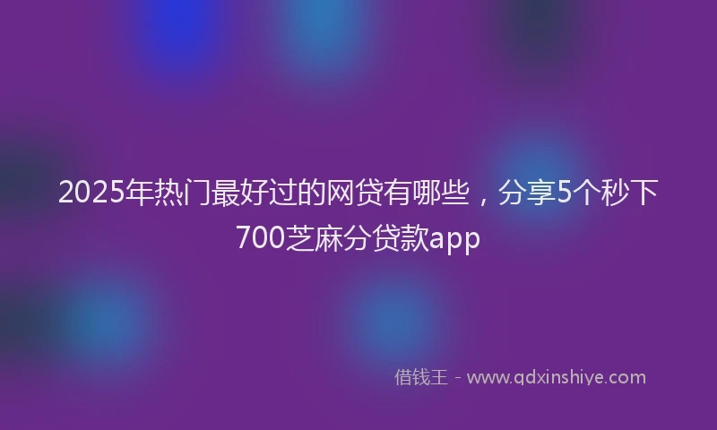 2025年热门最好过的网贷有哪些，分享5个秒下700芝麻分贷款app
