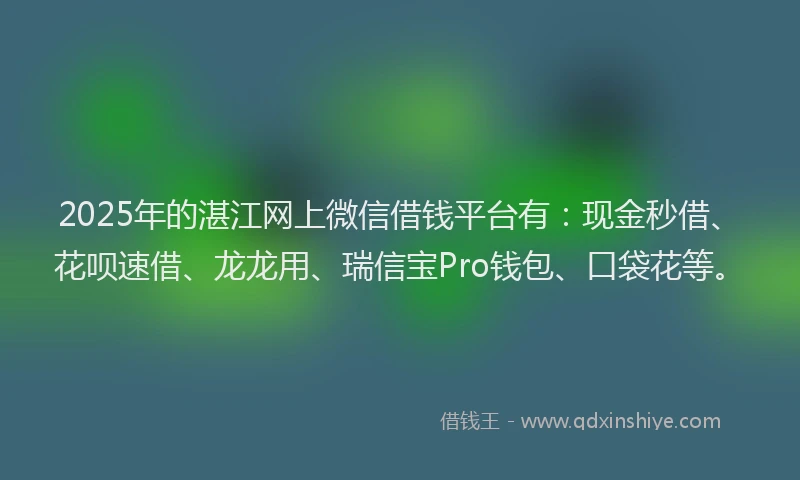 2025年的湛江网上微信借钱平台有：现金秒借、花呗速借、龙龙用、瑞信宝Pro钱包、口袋花等。