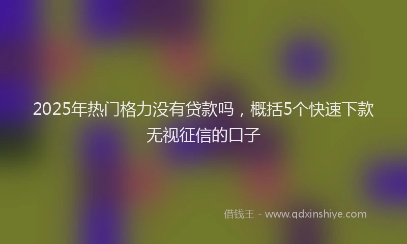 2025年热门格力没有贷款吗，概括5个快速下款无视征信的口子