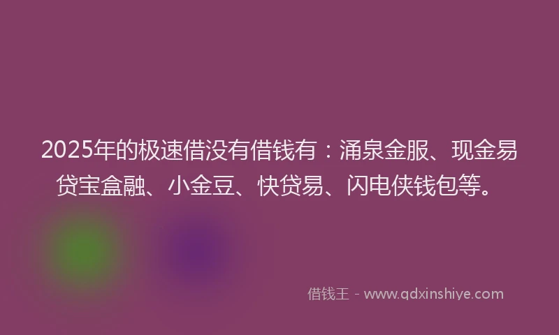 2025年的极速借没有借钱有：涌泉金服、现金易贷宝盒融、小金豆、快贷易、闪电侠钱包等。