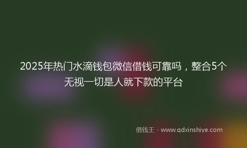 2025年热门水滴钱包微信借钱可靠吗，整合5个无视一切是人就下款的平台