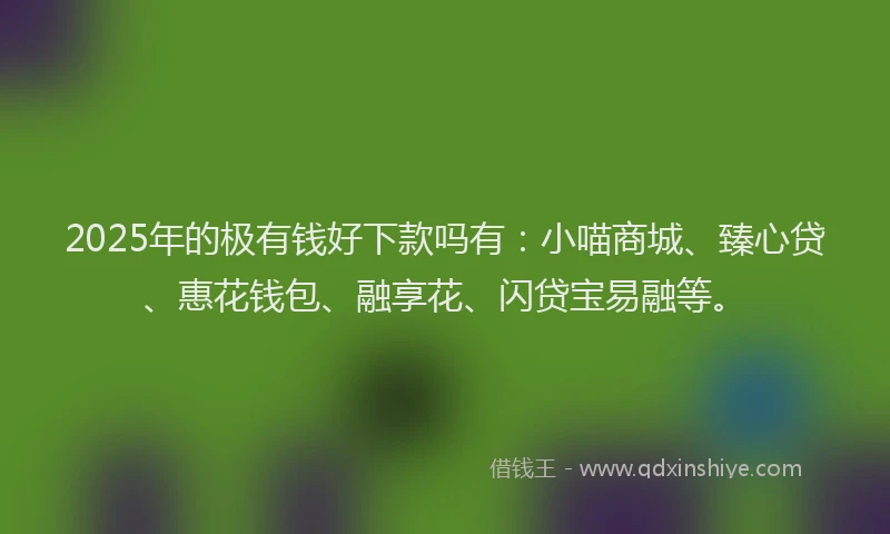 2025年的极有钱好下款吗有：小喵商城、臻心贷、惠花钱包、融享花、闪贷宝易融等。