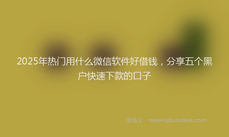 2025年热门用什么微信软件好借钱，分享五个黑户快速下款的口子