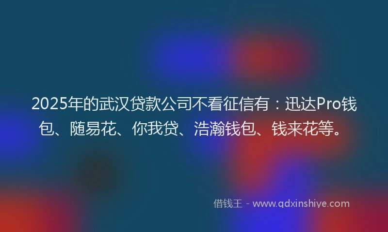 2025年的武汉贷款公司不看征信有：迅达Pro钱包、随易花、你我贷、浩瀚钱包、钱来花等。