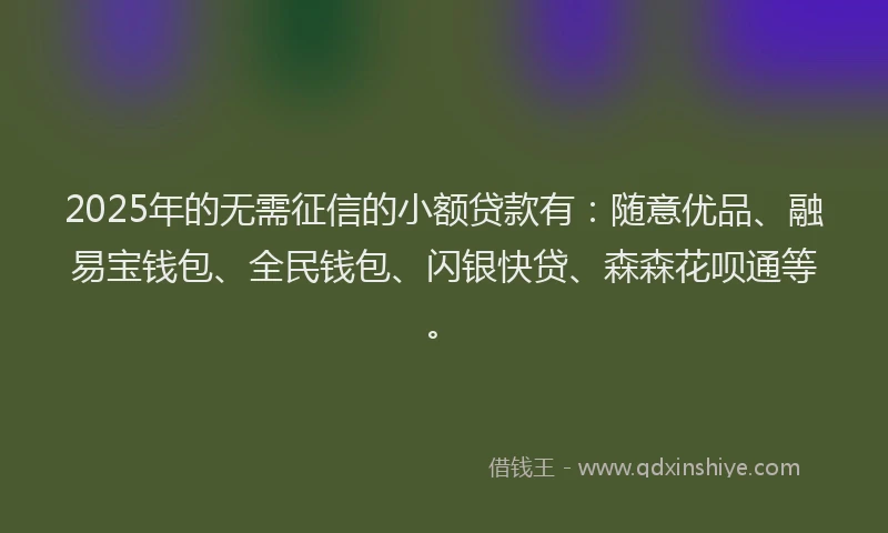 2025年的无需征信的小额贷款有：随意优品、融易宝钱包、全民钱包、闪银快贷、森森花呗通等。