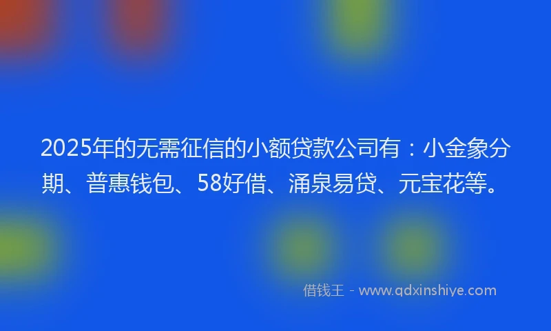2025年的无需征信的小额贷款公司有：小金象分期、普惠钱包、58好借、涌泉易贷、元宝花等。