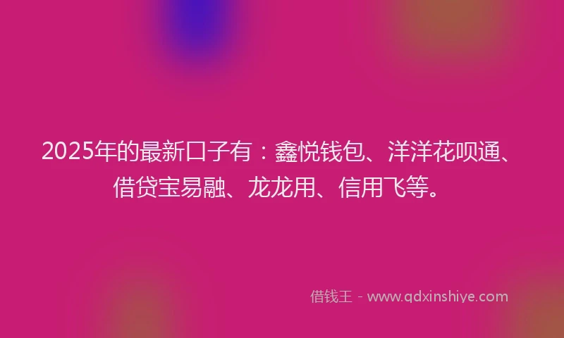 2025年的最新口子有：鑫悦钱包、洋洋花呗通、借贷宝易融、龙龙用、信用飞等。