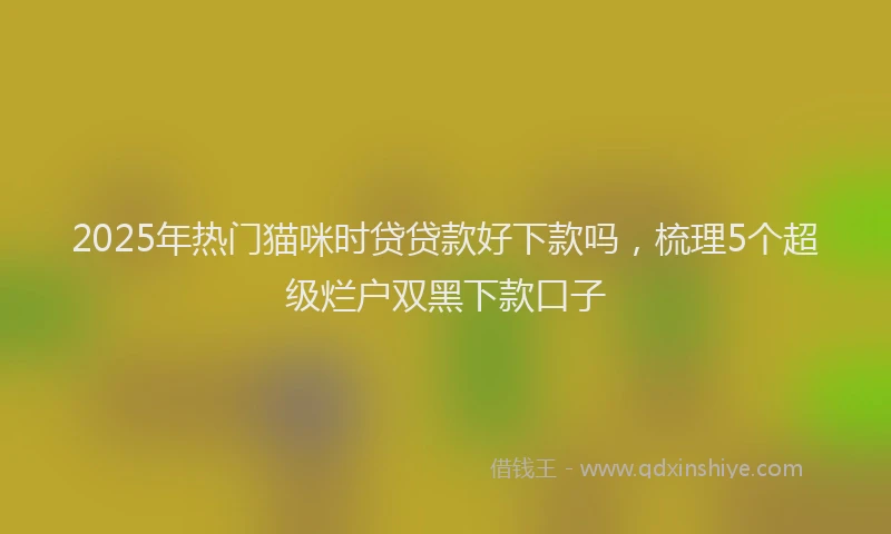 2025年热门猫咪时贷贷款好下款吗，梳理5个超级烂户双黑下款口子