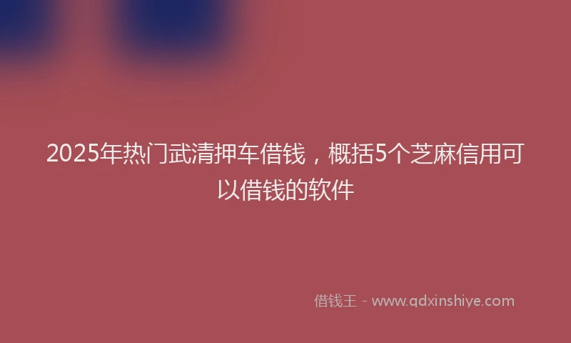 2025年热门武清押车借钱，概括5个芝麻信用可以借钱的软件