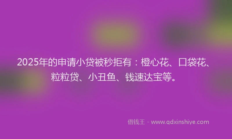 2025年的申请小贷被秒拒有：橙心花、口袋花、粒粒贷、小丑鱼、钱速达宝等。