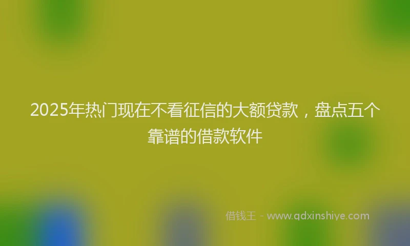 2025年热门现在不看征信的大额贷款，盘点五个靠谱的借款软件