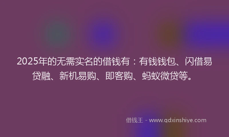 2025年的无需实名的借钱有：有钱钱包、闪借易贷融、新机易购、即客购、蚂蚁微贷等。