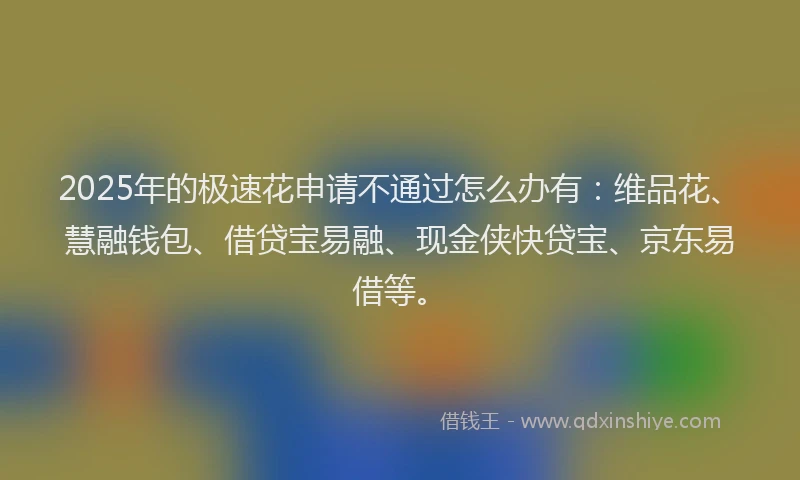 2025年的极速花申请不通过怎么办有：维品花、慧融钱包、借贷宝易融、现金侠快贷宝、京东易借等。