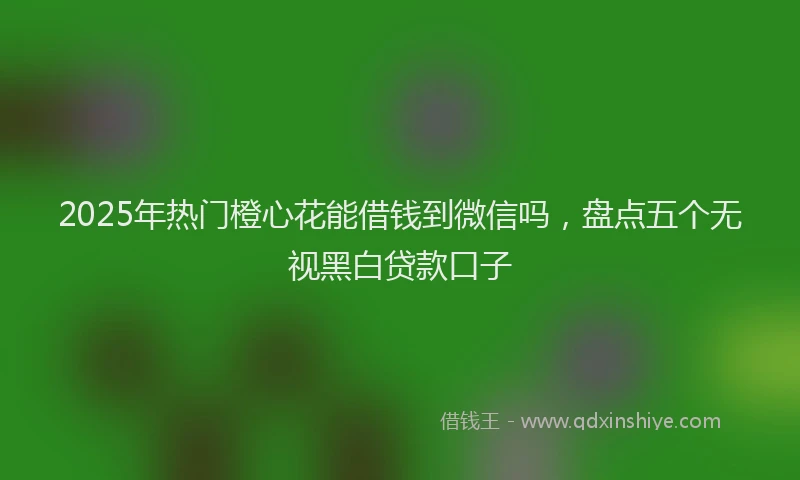 2025年热门橙心花能借钱到微信吗，盘点五个无视黑白贷款口子