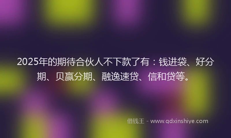 2025年的期待合伙人不下款了有：钱进袋、好分期、贝赢分期、融逸速贷、信和贷等。