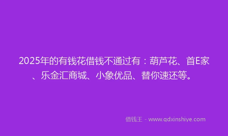 2025年的有钱花借钱不通过有：葫芦花、首E家、乐金汇商城、小象优品、替你速还等。