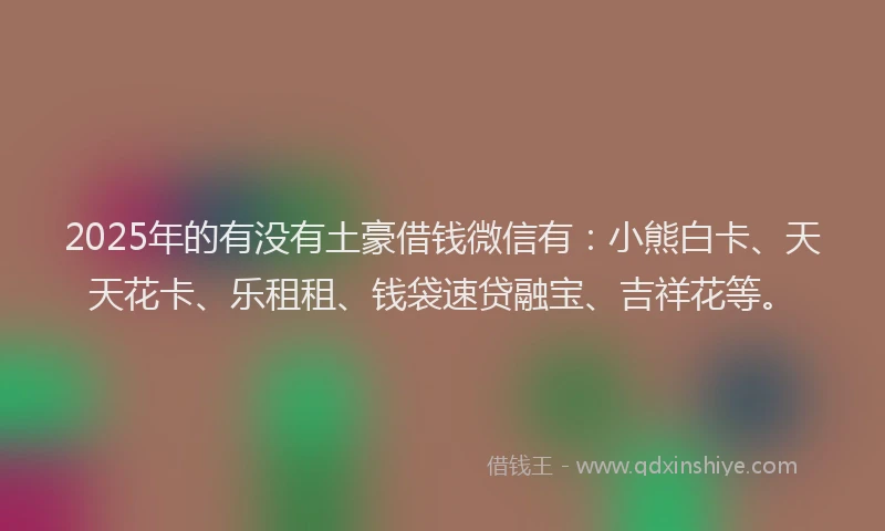2025年的有没有土豪借钱微信有：小熊白卡、天天花卡、乐租租、钱袋速贷融宝、吉祥花等。