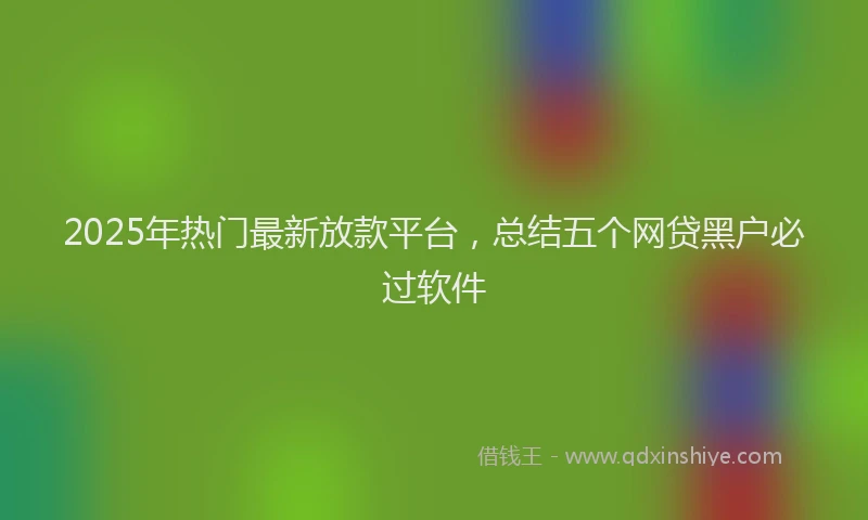 2025年热门最新放款平台，总结五个网贷黑户必过软件