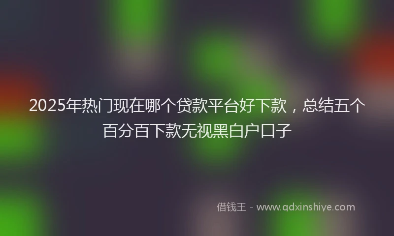 2025年热门现在哪个贷款平台好下款，总结五个百分百下款无视黑白户口子