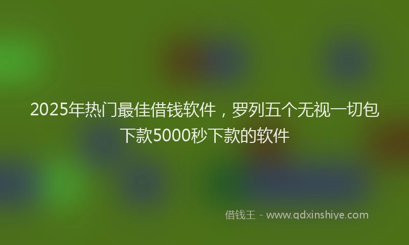 2025年热门最佳借钱软件，罗列五个无视一切包下款5000秒下款的软件