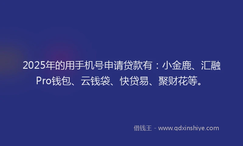2025年的用手机号申请贷款有：小金鹿、汇融Pro钱包、云钱袋、快贷易、聚财花等。