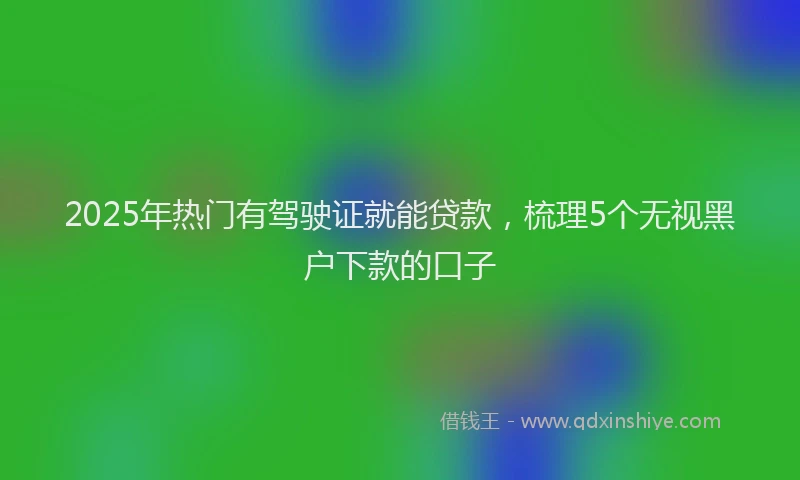 2025年热门有驾驶证就能贷款，梳理5个无视黑户下款的口子