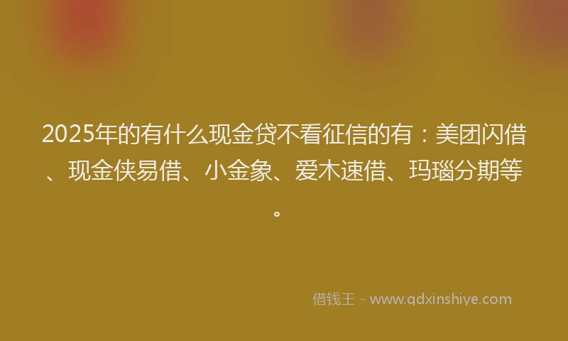 2025年的有什么现金贷不看征信的有：美团闪借、现金侠易借、小金象、爱木速借、玛瑙分期等。