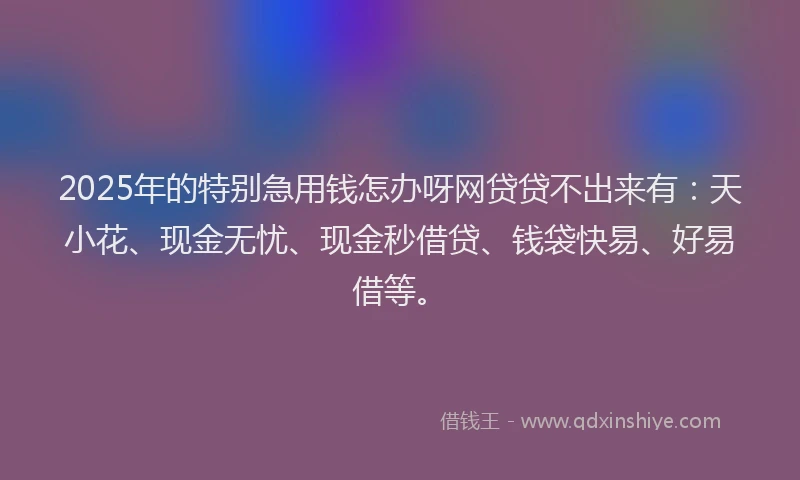 2025年的特别急用钱怎办呀网贷贷不出来有：天小花、现金无忧、现金秒借贷、钱袋快易、好易借等。