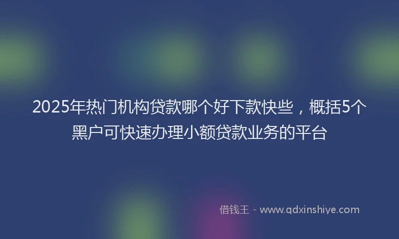 2025年热门机构贷款哪个好下款快些，概括5个黑户可快速办理小额贷款业务的平台