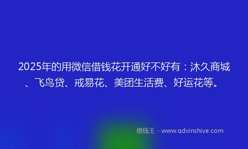 2025年的用微信借钱花开通好不好有：沐久商城、飞鸟贷、戒易花、美团生活费、好运花等。