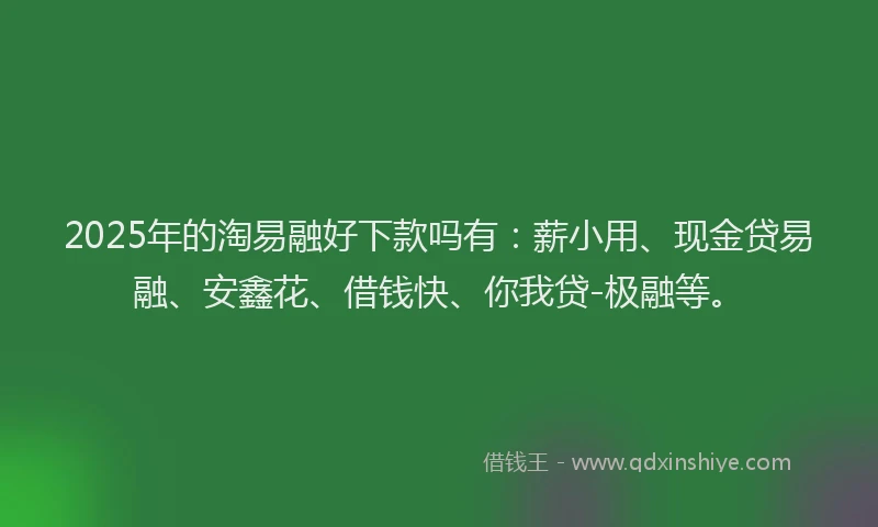 2025年的淘易融好下款吗有：薪小用、现金贷易融、安鑫花、借钱快、你我贷-极融等。